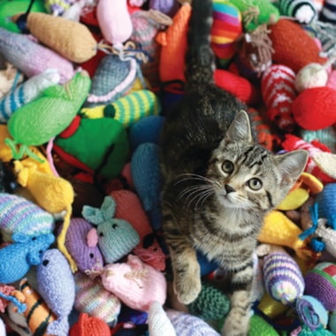 batterseawoolweekblog.jpg?&width=380&height=380&bgcolor=ffffff&mode=crop