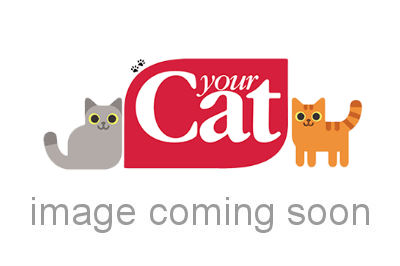 Introducing Churu Puree Treats for cats Your Cat