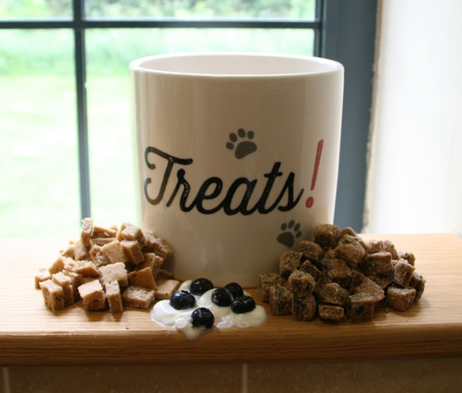 Homemade treats Your Cat