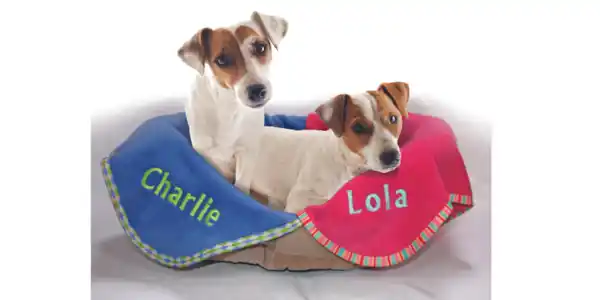 Image: https://azure.wgp-cdn.co.uk/app-yourdog/competitions/mrmole-sep23-comp.png?&width=600&height=300&bgcolor=ffffff&mode=crop&format=webp&webp.quality=40&scale=both