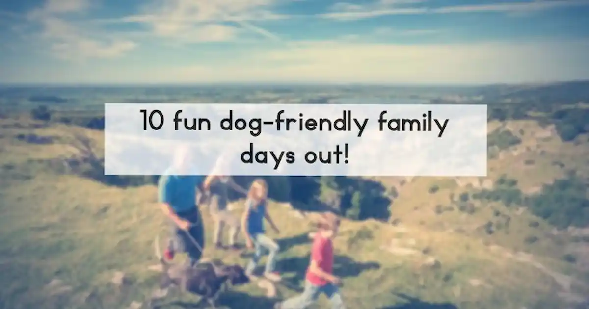 10 Fun Dog friendly Family Days Out Your Dog 10-fun-dog-friendly-family-days-out-your-dog