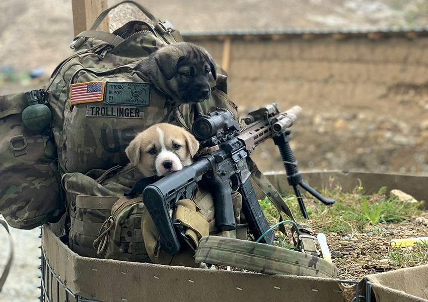 Pen Farthing, founder of Animal Charity Nowzad in Kabul