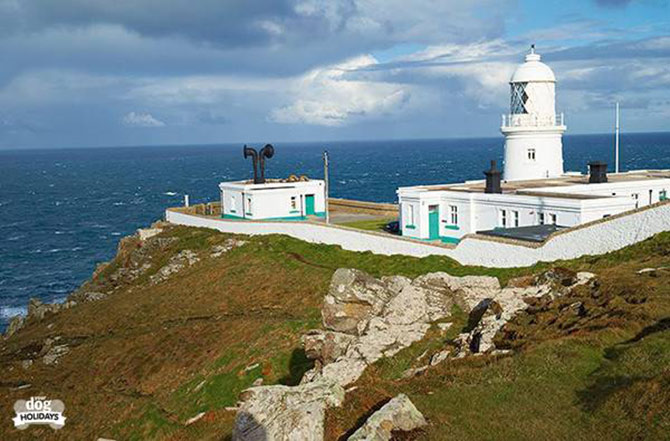 Dog-friendly holiday properties of the week