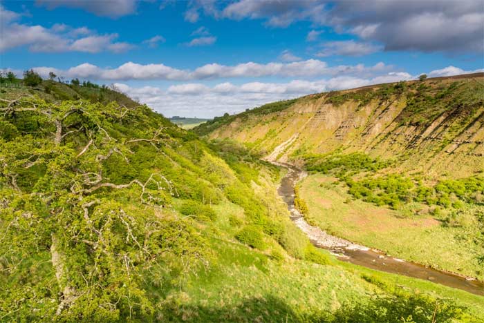 Dog Walks in the Lake District