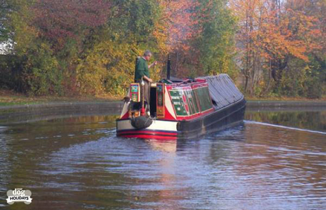 Dog-friendly holiday properties of the week