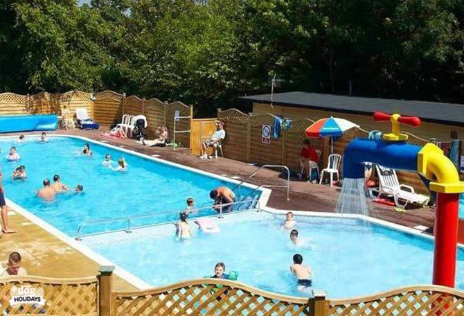 Dogs Woodland Holidays