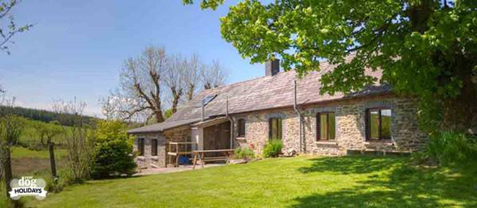 Dog-friendly holiday properties of the week