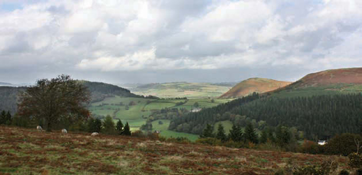 Dog-friendly Welsh Borders