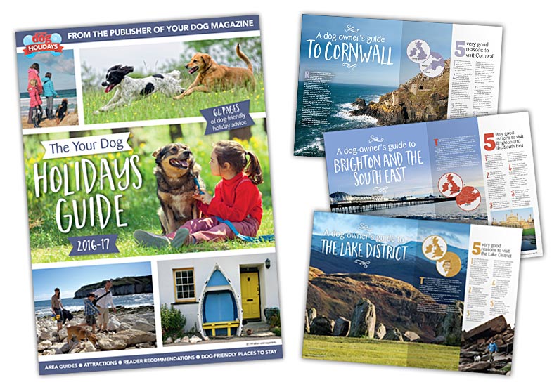 FREE Your Dog Holiday Guide